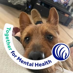 Meet your Posher, Cynthia